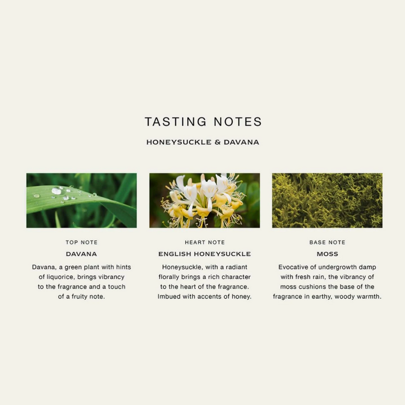 Honeysuckle & Davana Candle - 200g